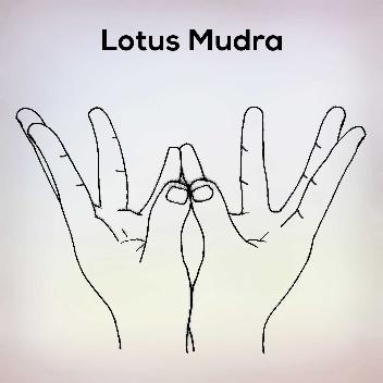 Lotus Mudra Gesture of purity steps benefits - nexoye